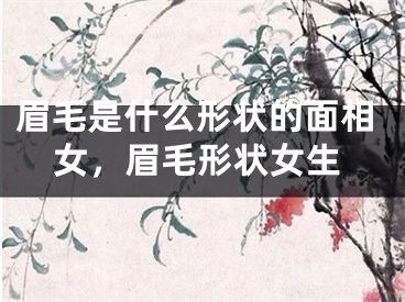 眉毛是什么形状的面相女，眉毛形状女生