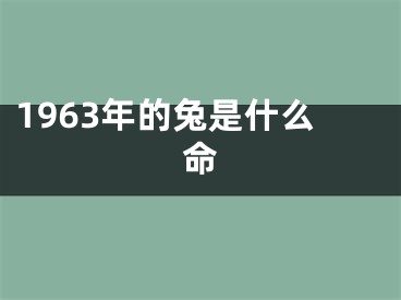 1963年的兔是什么命