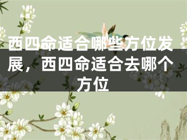 西四命适合哪些方位发展，西四命适合去哪个方位