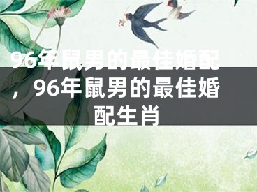 96年鼠男的最佳婚配，96年鼠男的最佳婚配生肖