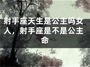 射手座天生是公主吗女人,射手座是不是公主命