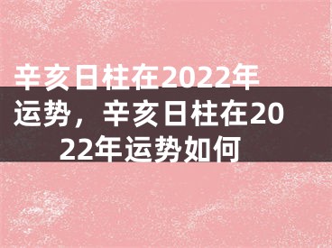 辛亥日柱在2022年运势，辛亥日柱在2022年运势如何