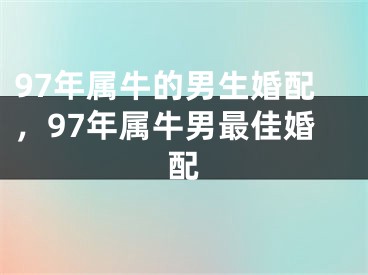 97年属牛的男生婚配，97年属牛男最佳婚配