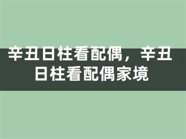 辛丑日柱看配偶,辛丑日柱看配偶家境