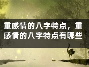 重感情的八字特点，重感情的八字特点有哪些