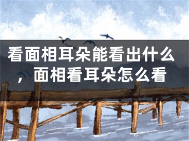 看面相耳朵能看出什么，面相看耳朵怎么看