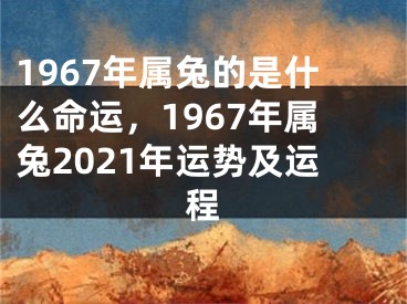 1967年属兔的是什么命运,1967年属兔2021年运势及运程