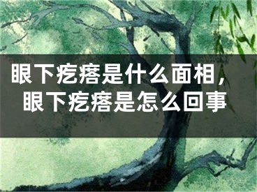 眼下疙瘩是什么面相，眼下疙瘩是怎么回事
