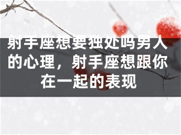 射手座想要独处吗男人的心理，射手座想跟你在一起的表现
