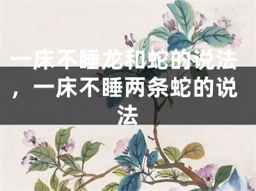 一床不睡龙和蛇的说法，一床不睡两条蛇的说法