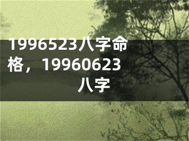 1996523八字命格，19960623八字