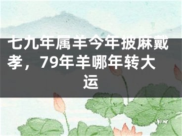 七九年属羊今年披麻戴孝,79年羊哪年转大运