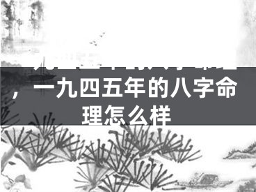 一九四五年的八字命理，一九四五年的八字命理怎么样