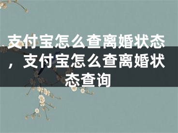 支付宝怎么查离婚状态,支付宝怎么查离婚状态查询