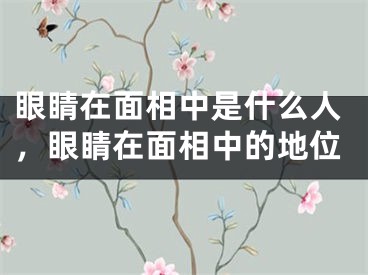 眼睛在面相中是什么人，眼睛在面相中的地位