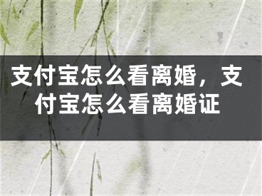 支付宝怎么看离婚，支付宝怎么看离婚证