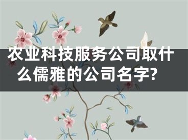 农业科技服务公司取什么儒雅的公司名字?