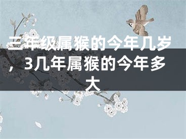 三年级属猴的今年几岁，3几年属猴的今年多大