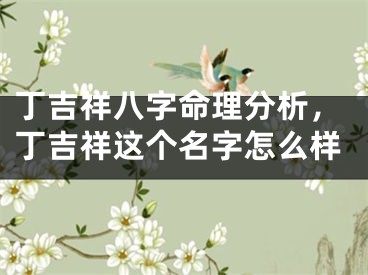 丁吉祥八字命理分析,丁吉祥这个名字怎么样