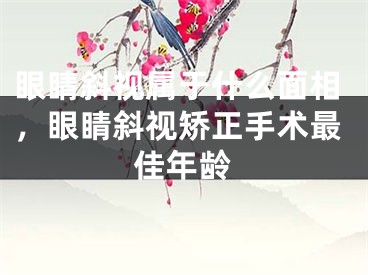 眼睛斜视属于什么面相,眼睛斜视矫正手术最佳年龄