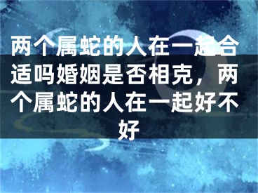 两个属蛇的人在一起合适吗婚姻是否相克，两个属蛇的人在一起好不好