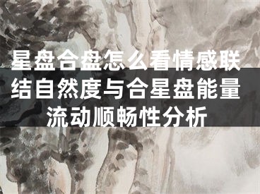 星盘合盘怎么看情感联结自然度与合星盘能量流动顺畅性分析