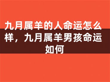 九月属羊的人命运怎么样,九月属羊男孩命运如何