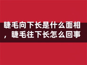 睫毛向下长是什么面相，睫毛往下长怎么回事