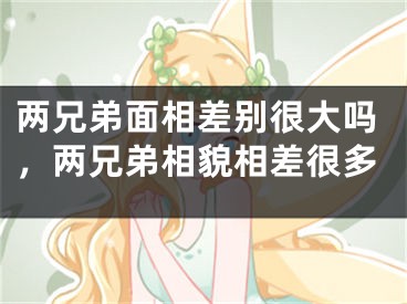 两兄弟面相差别很大吗，两兄弟相貌相差很多