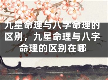 九星命理与八字命理的区别，九星命理与八字命理的区别在哪