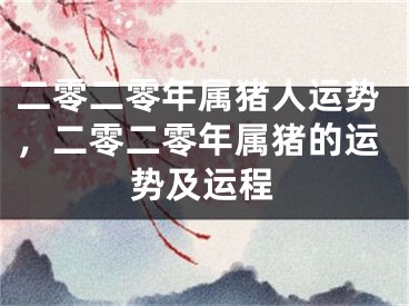 二零二零年属猪人运势，二零二零年属猪的运势及运程