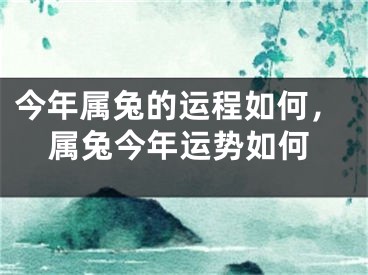 今年属兔的运程如何，属兔今年运势如何