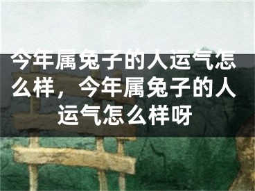今年属兔子的人运气怎么样，今年属兔子的人运气怎么样呀