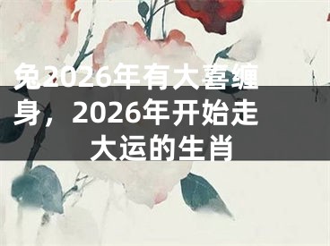兔2026年有大喜缠身,2026年开始走大运的生肖