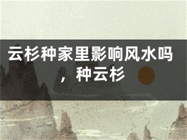 云杉种家里影响风水吗，种云杉