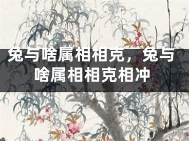 兔与啥属相相克,兔与啥属相相克相冲