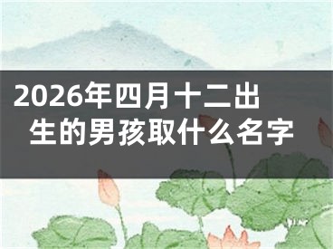 2026年四月十二出生的男孩取什么名字
