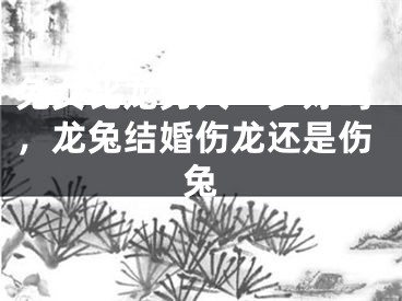 兔女比龙男大一岁好吗，龙兔结婚伤龙还是伤兔