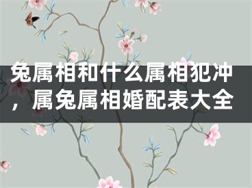 兔属相和什么属相犯冲,属兔属相婚配表大全