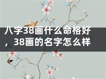 八字38画什么命格好,38画的名字怎么样