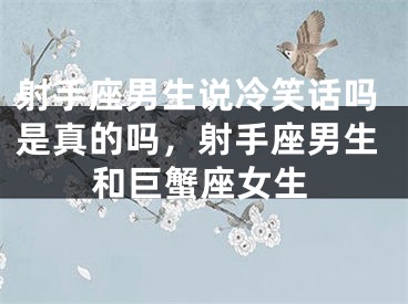 射手座男生说冷笑话吗是真的吗，射手座男生和巨蟹座女生