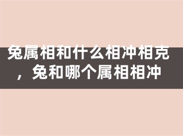 兔属相和什么相冲相克,兔和哪个属相相冲