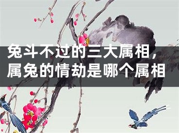 兔斗不过的三大属相，属兔的情劫是哪个属相