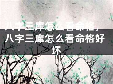 八字三库怎么看命格，八字三库怎么看命格好坏