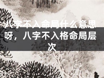 八字不入命局什么意思呀，八字不入格命局层次