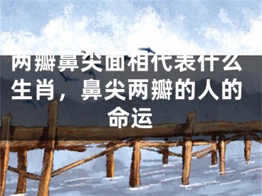 两瓣鼻尖面相代表什么生肖，鼻尖两瓣的人的命运