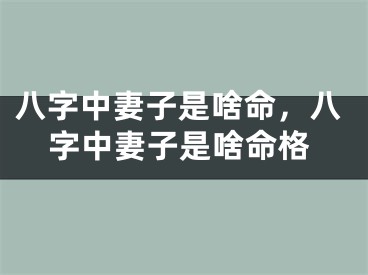 八字中妻子是啥命，八字中妻子是啥命格