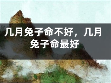 几月兔子命不好，几月兔子命最好