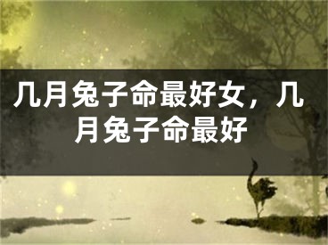 几月兔子命最好女，几月兔子命最好