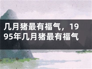 几月猪最有福气，1995年几月猪最有福气